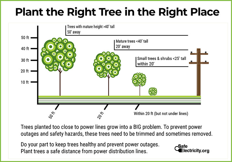 Plant a Tree