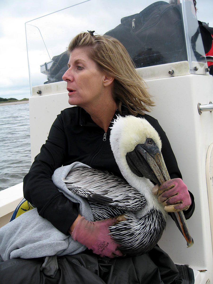 plucky ride for help