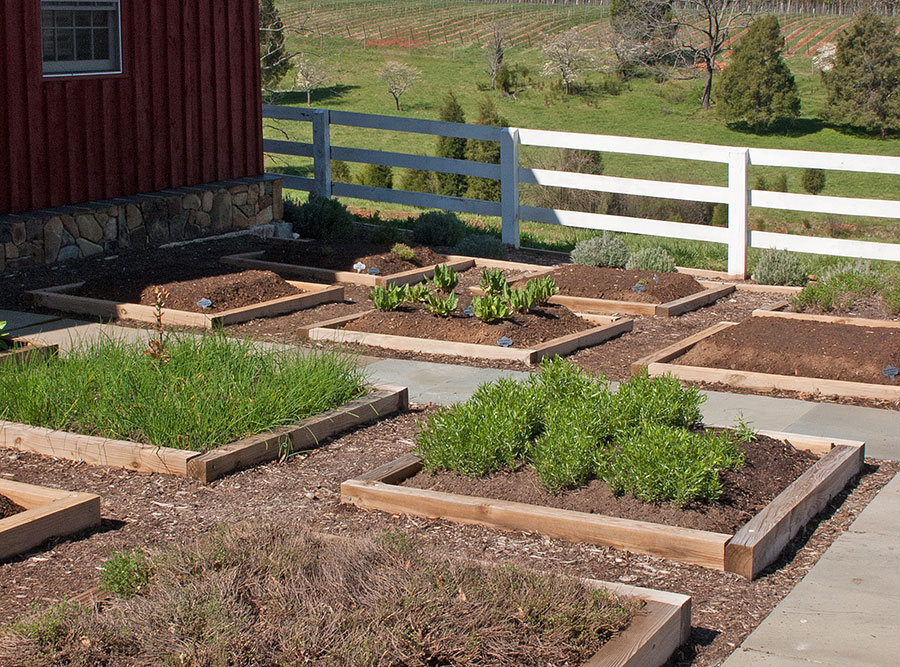 raised bed colonials