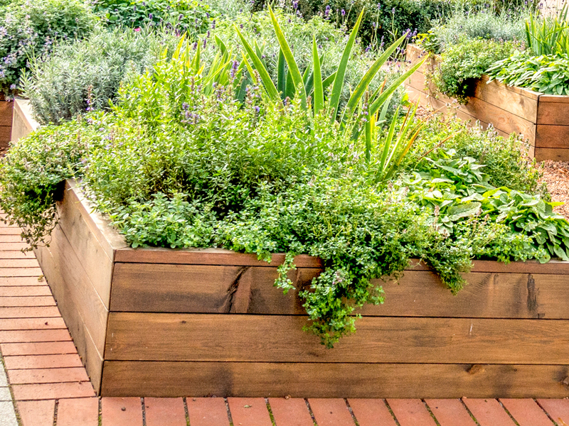 Raised bed