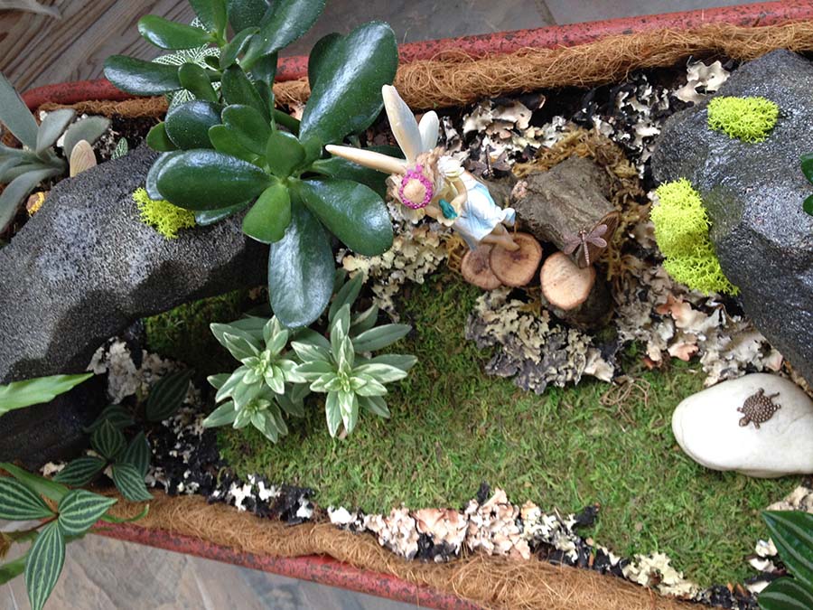 Great-Gardens-NC-fairy-garden