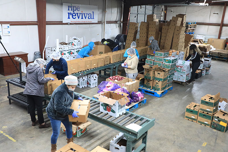 Ripe Revival Market