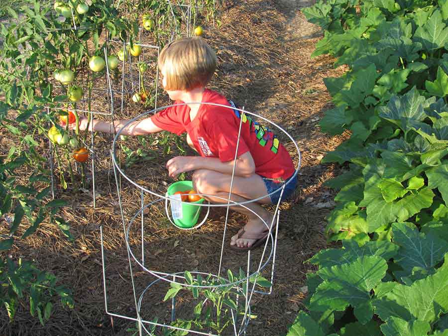 Great-Gardens-NC-XXX