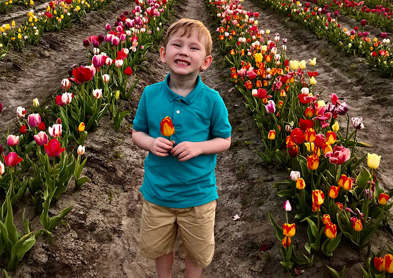 terra ceia farms tulips 1