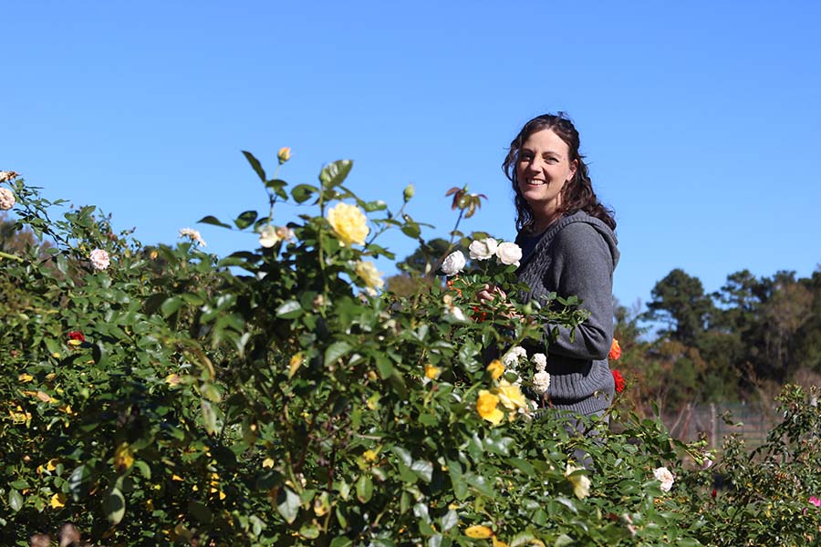trish whitinger garden