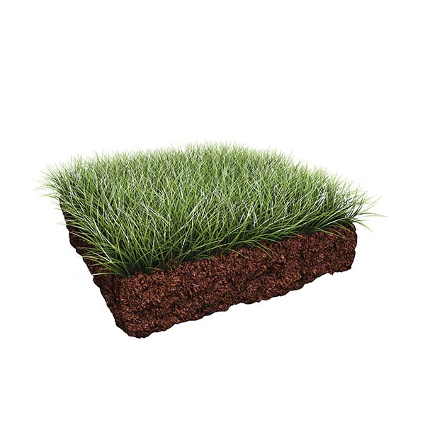 turf
