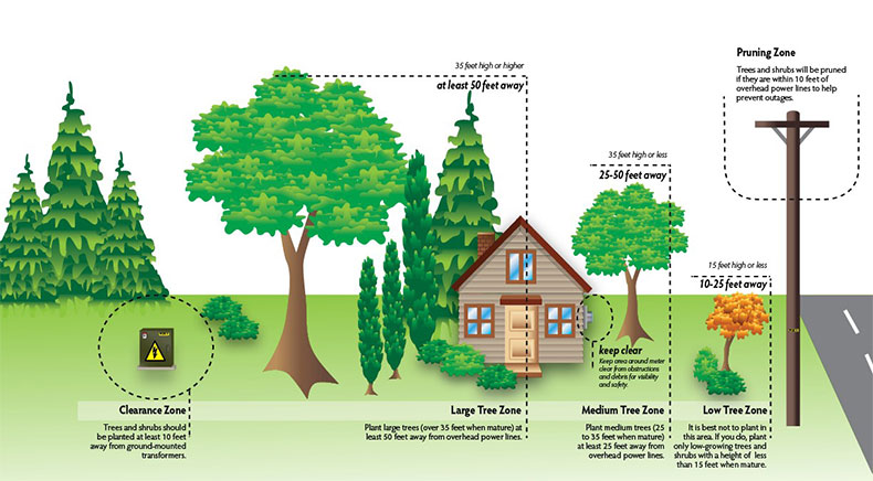 utility and trees planting