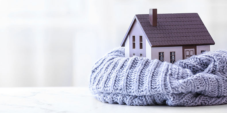 Winter House
