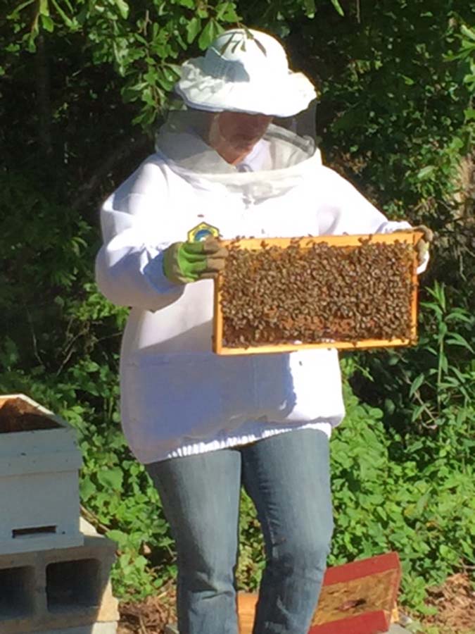 workingbeehive